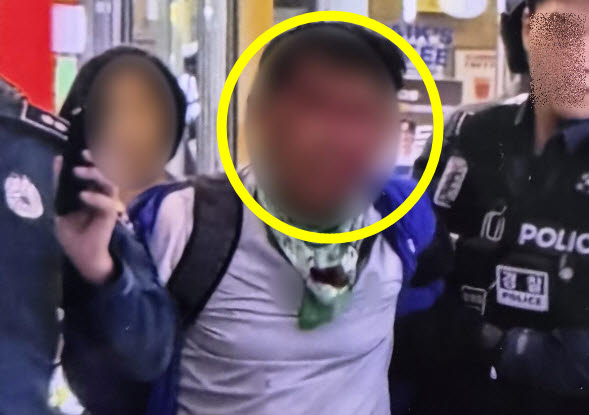 인천 흉기난동 알고보니 '전과 9범'...과거 들춰보니