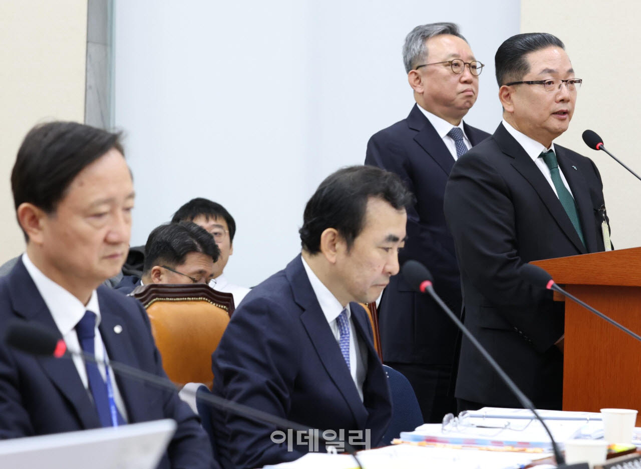 [포토]국정감사, '답변하는 이호성 하나은행장'