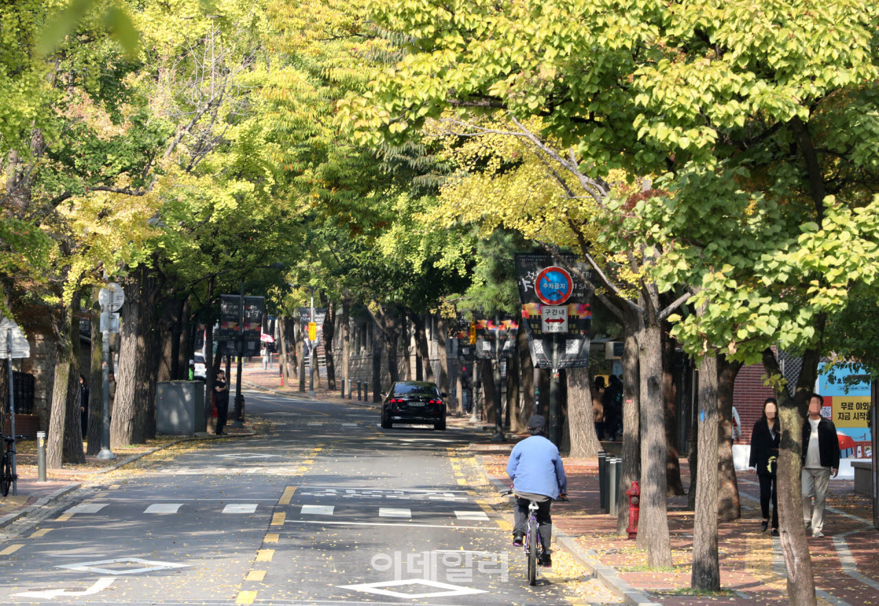 [포토] 쌀쌀한 날씨