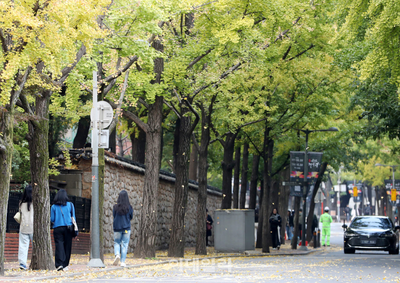 [포토] 걷고 싶은 정동길