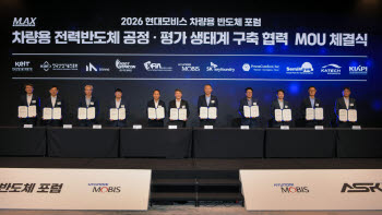 현대모비스, 車반도체 13종 개발 착수…2029년 양산 적용