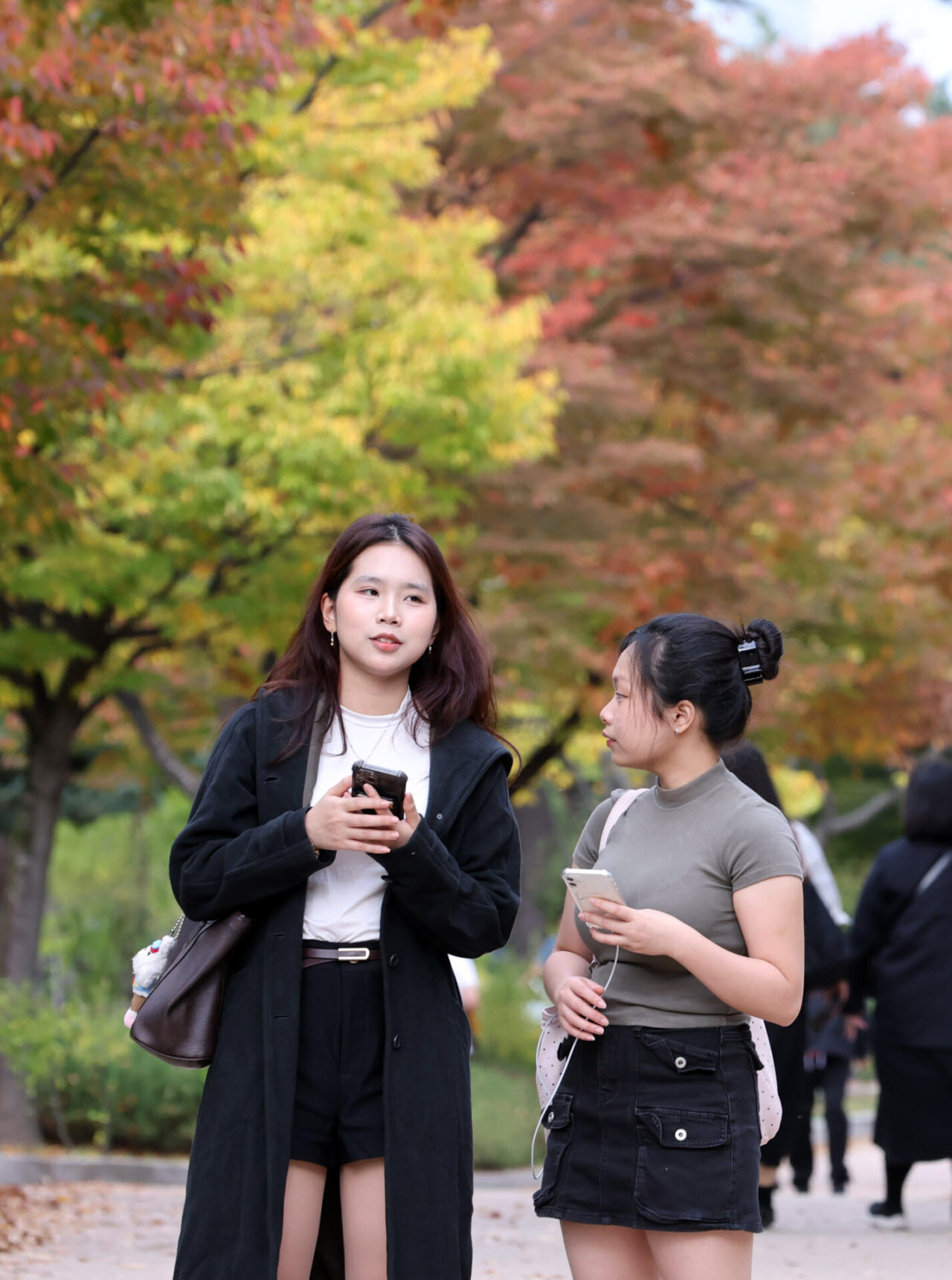 [포토]가을 산책