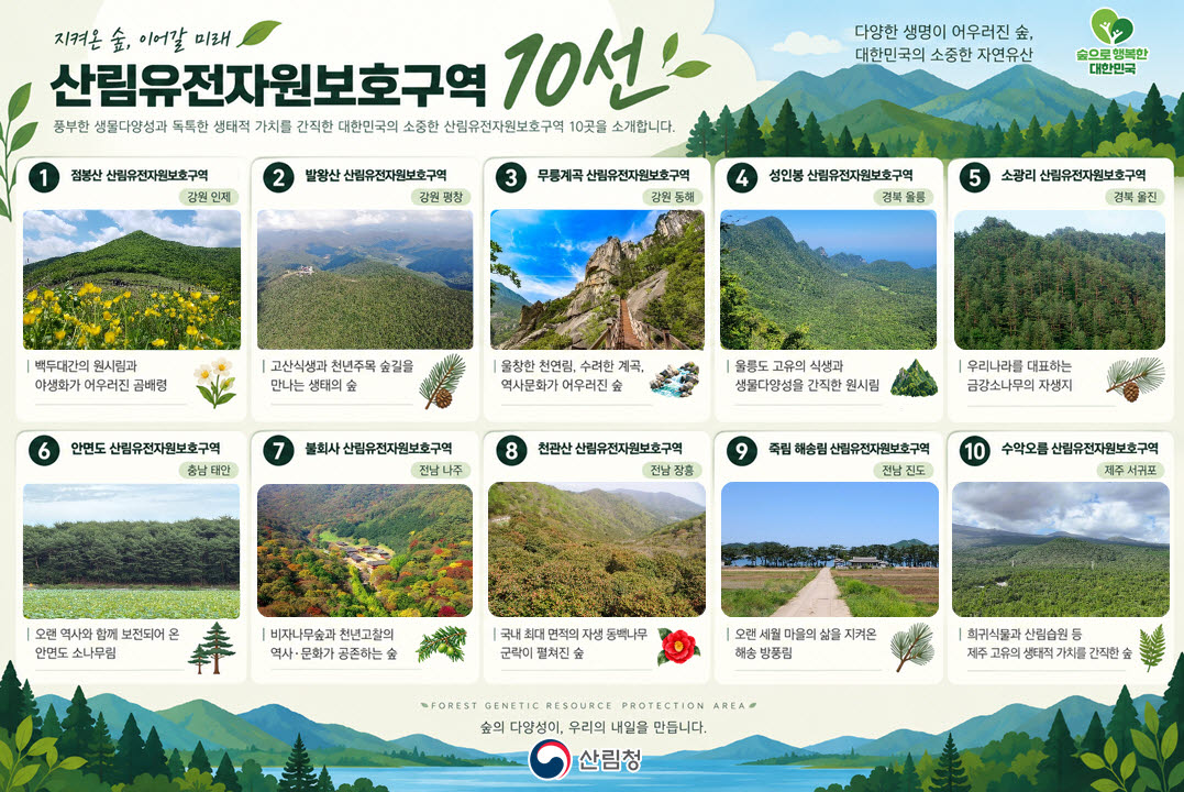 점봉산 곰배령 등 미래세대에 물려줄 산림유산 지정