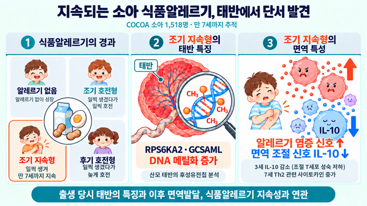 잘 낫지 않는 아이 식품알레르기…태반에서 단서 찾았다