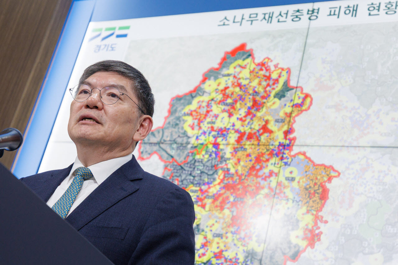 3.7만본 고사한 경기 가평, 소나무재선충병 특별방제구역 지정
