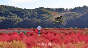 800m… 가까워도 닿을 수 없는 북녘