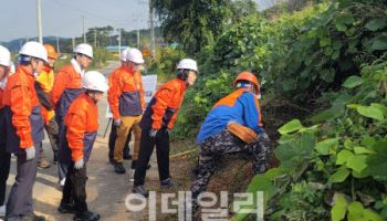 산림청, 도로변 덩굴류 친환경 방식으로 제거