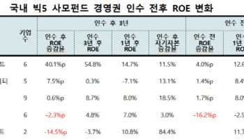 '빅5 사모펀드' 인수 기업들, 밸류업 효과 미미했다