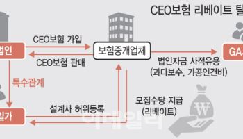 자녀에 모집 수수료 부당 지급…CEO보험 사라지나