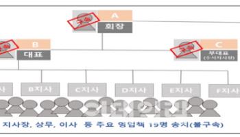 “5% 수익금 줄게” 속이고 5281억원 투자금 뜯어낸 회장님(종합)