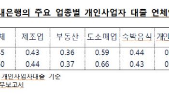 올 상반기 자영업자 연체액 2.6조 '역대 최대'