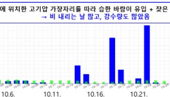 "사흘에 한번 꼴"…올해 10월, 강수일수 `역대 최대`