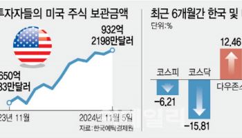 트럼프2.0 시대…개미, 미국行 러시 더 이어지나