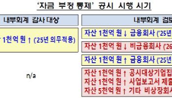 자산 1000억원 이상 상장사, 내년부터 ‘자금 부정 통제’ 공시한다