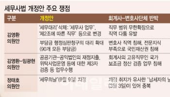 세무사 업역확대에 ‘세무의날’도 지정…또다시 밥그릇전쟁 신호탄