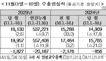 11월 들어 수출 감소 흐름…대미 車 수출 ‘뚝’(상보)