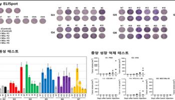 CG인바이츠 "AI 기반 항암백신 동물시험서 효과 입증"