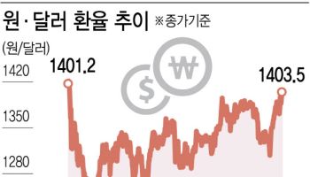 트럼프 시대, 환율 1400원 고착화 우려…“유연성 필요”