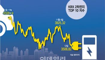 ‘트럼프 쇼크’ 맞은 2차전지株, ‘머스크 테마’로 솟나