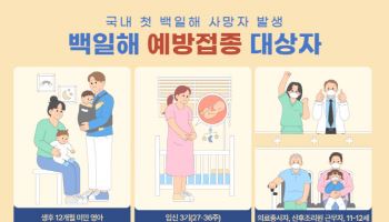 코로나 여파일까? 백일해 유행조짐, 국내 첫 사망자 발생