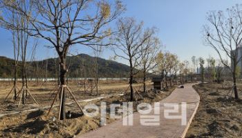 정부대전청사 소나무 등 수목들, 갑천호수공원으로 옮긴다