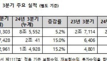 메리츠화재 3Q 누적 당기순익 1조4928억 "역대 최대실적"