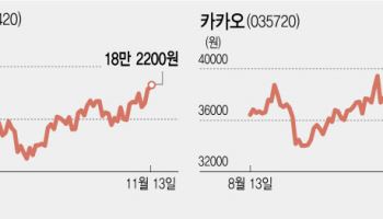 힘 잃은 증시 속 오르는 네이버…카카오는 여전히 부진