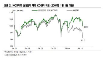 "11월 코스피 5% 하락? 삼성전자 착시현상 탓"