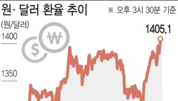 외환당국 구두개입했지만…'환율 1400원대' 요지부동