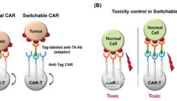 티카로스, ‘Switchable CAR-T’ 기술 네이처 커뮤니케이션스 게재