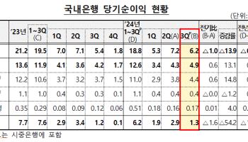 국내은행 3분기 순이익 6.2조…"특수은행 대손비용 증가에 1조 감소"