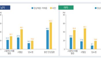 비만한 사람 만성질환 발생 확률, 남 62.5%, 여 66.5% 높아