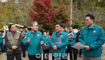 올해가 재선충병 확산 방지 골든타임…정부·지자체 사활