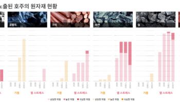 삼일PwC, ‘APEC 특별보고서: 필수 원자재 리스크 현황’ 발간