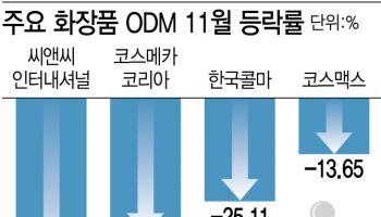 최악 11월 겪는 화장품株 살아나나…"낙폭 과대"