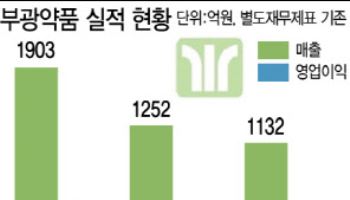 "당뇨 합병증 치료제 선전에 CNS 신제품까지"… 부광약품, 부활 예고