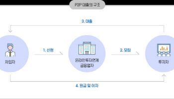 부동산 비중 낮춘 온투업, 되살아나나