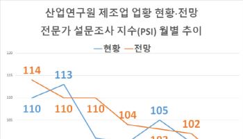 12월 제조업황 전문가 전망 13개월만에 ‘부정적’