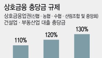 상호금융, 충당금 규제…"유예해도 1년 미만" 전망