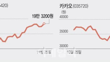 격차 벌어지는 '대표 성장주'…'AI 날개 단' 네이버 '사업 부진' 카카오