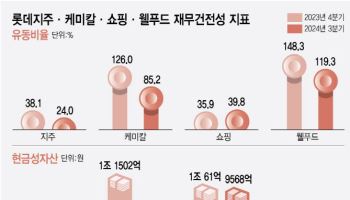 롯데 핵심 상장사 뜯어보니…유동성 경직, 차입 부담 확대