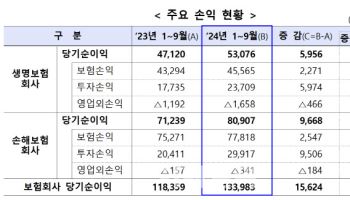 3분기 보험사 실적 개선…부채 증가로 자기자본은 감소