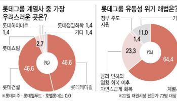 "롯데그룹 가장 걱정인 계열사는 케미칼과 건설"