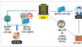 190억짜리 해외 빌라 사고, 자녀에 ‘알짜 일감’…37개사 세무조사