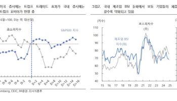 "'트럼프 포비아'가 코스피 지배…증시 단기 회복 쉽지 않을 것"