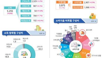 가구 월평균 소득 525만원…소득 늘었지만 '분배'는 악화