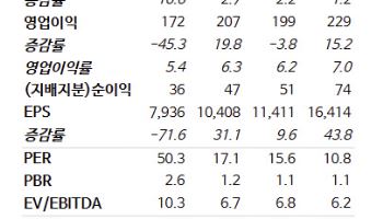 HS효성첨단소재, 탄소섬유 실적 3분기가 바닥…목표주가↓ -NH