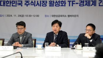 4대그룹 사장들, 민주당TF 만나 상법개정 우려 전달