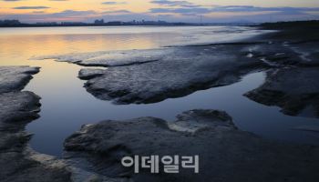 한강 하구 고양 '장항습지' 환경부 생태관광지역 선정