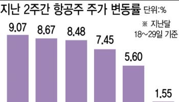 힘 받는 ‘항공株’…증권가 “당분간 강세 이어질 전망”